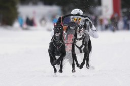 Lenzerheide 2013